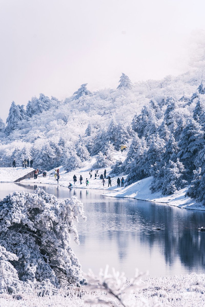_NiceYa_'s tweet photo. Baizhangling after the snow, where winter tranquility and beauty intertwine. Come experience this pure paradise! ❄️ #Lin'anWinterScenery #SnowClearing #WinterViews #NaturalBeauty https://t.co/J6TRWUsZjx