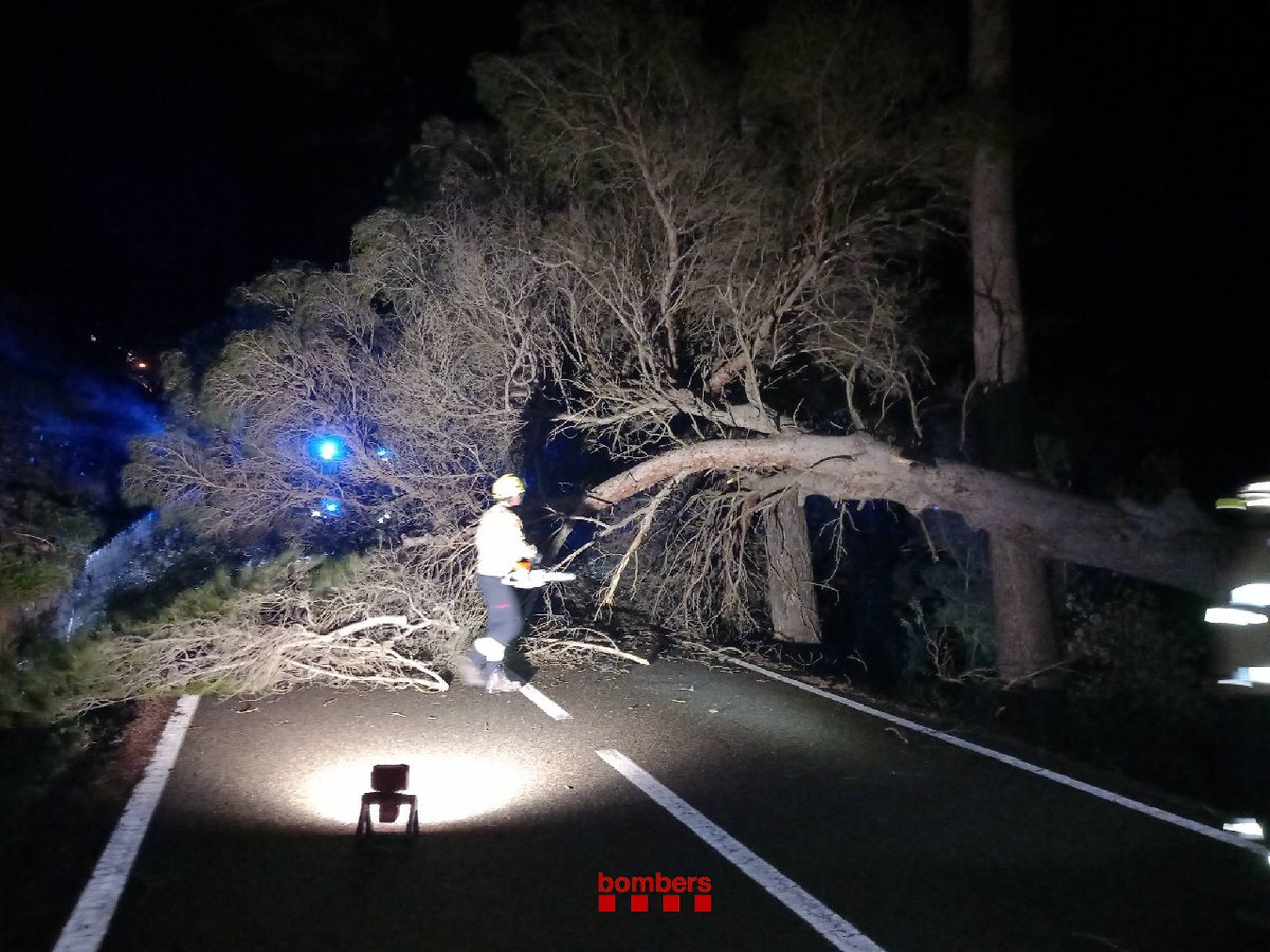 ⭕️🚒 ACTUALITZACIÓ #bomberscat:
De 20h a 07h, hem atès 216 avisos per vent. La majoria per arbres caiguts a les comarques de Tarragona. 

📷 Valls, Picamoixons. Ha afectat l'accés del CAP 
📷 Vilallonga del Camp
📷 Ctra.  TP-7225 de Reus al Morell
📷 Ctra. T-343 a l'Argentera