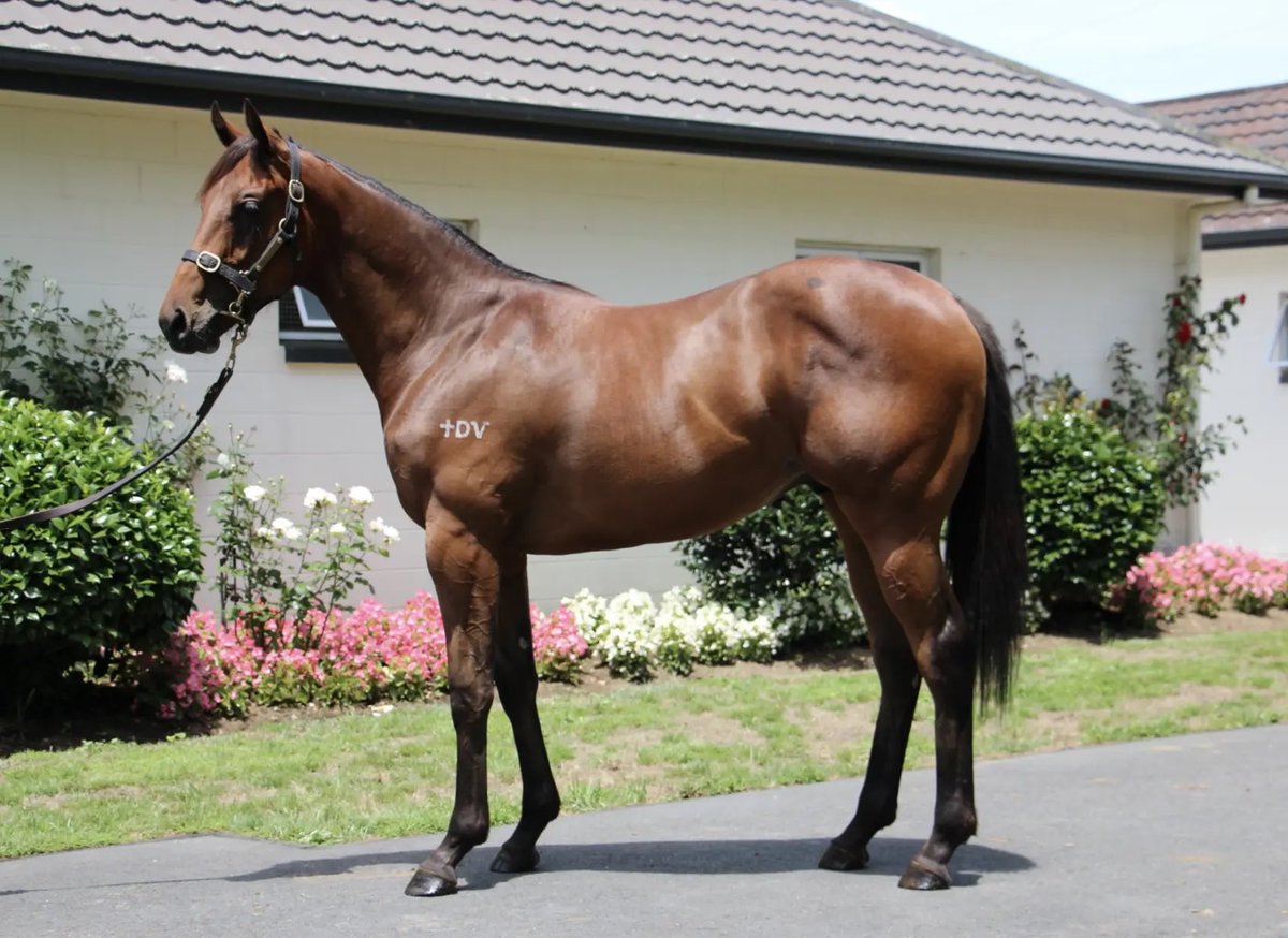 Michael Lane Racing tweet media