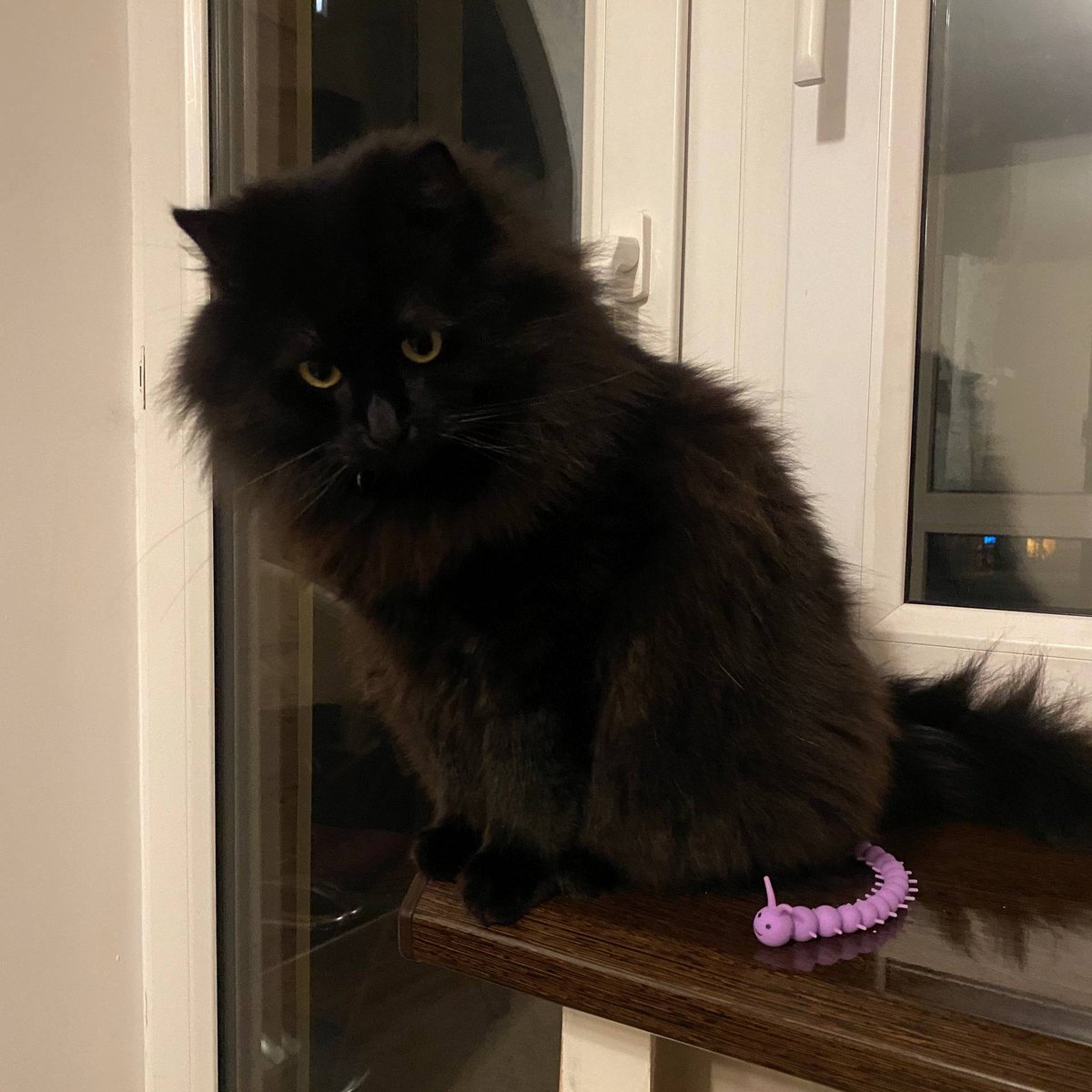 Kostiantyn Hoholenko tweet media