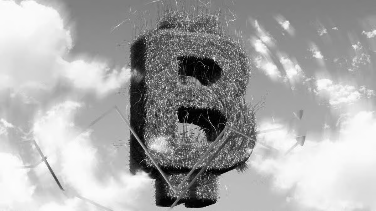 NewTribe Capital tweet media