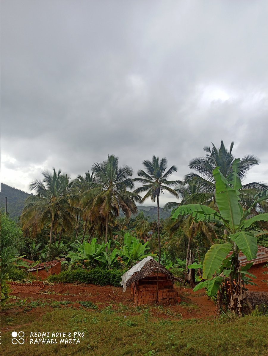 RaphaelMheta's tweet photo. Siku mpya imeanza.
#RedmiNote8Pro 📸 https://t.co/xAdJgi8Oxf
