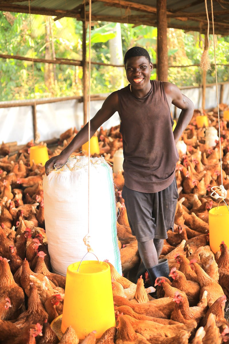 The Microfinance Support Centre Ltd tweet media