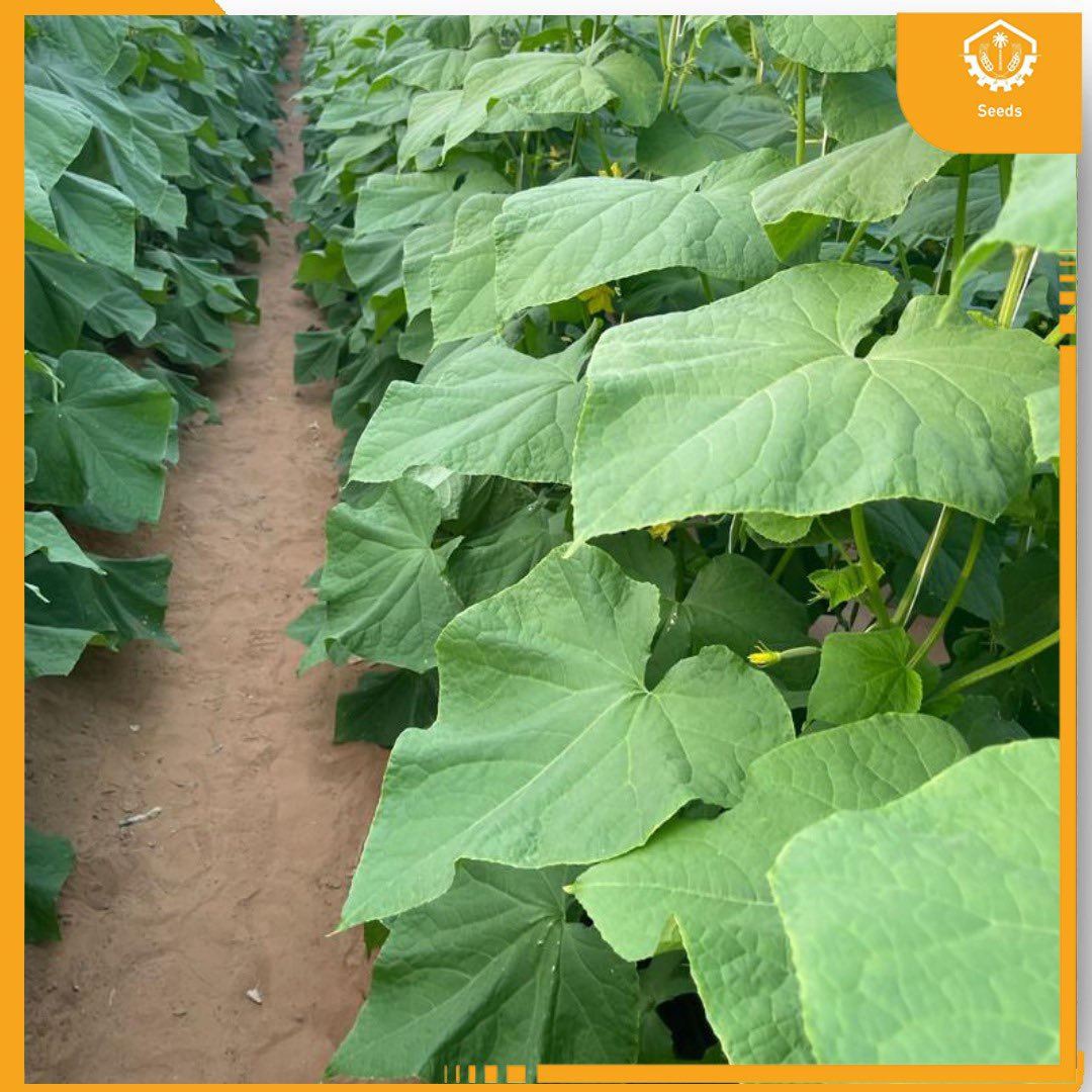 AMMC Agriculture - شركة الآلات والمواد الزراعية tweet media