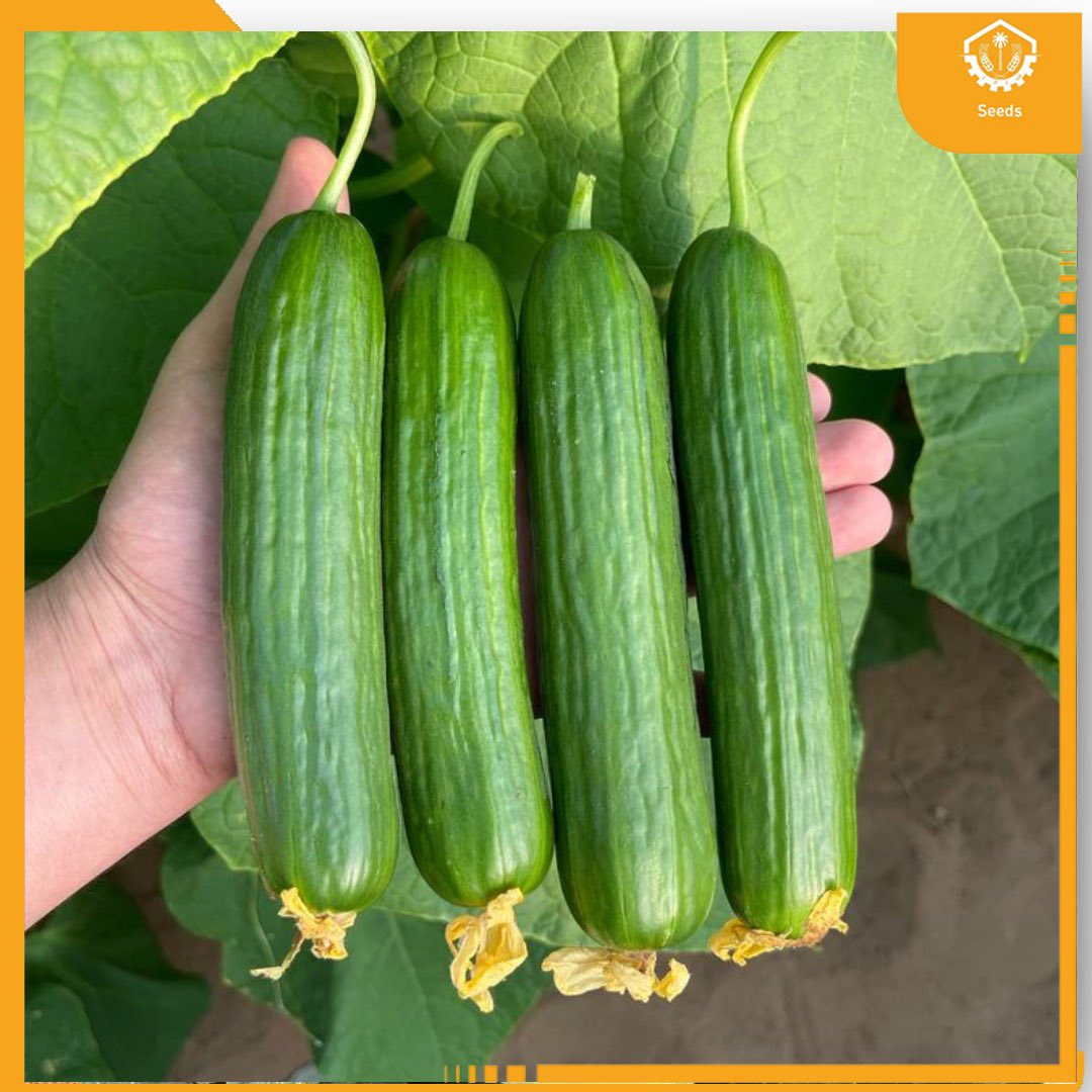 AMMC Agriculture - شركة الآلات والمواد الزراعية tweet media