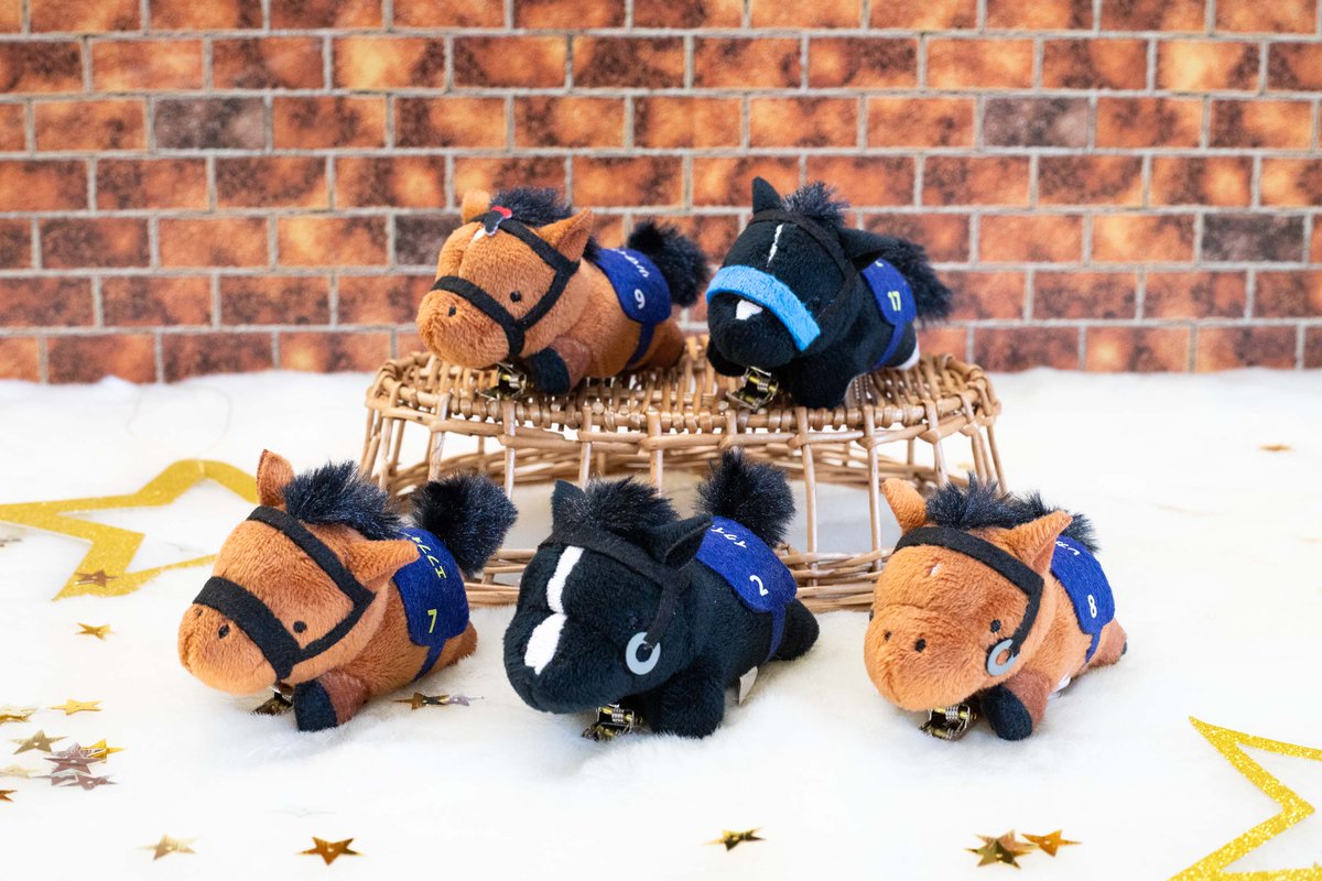 サラブレッドコレクション【公式】 (@sarakore_info) / Posts / X