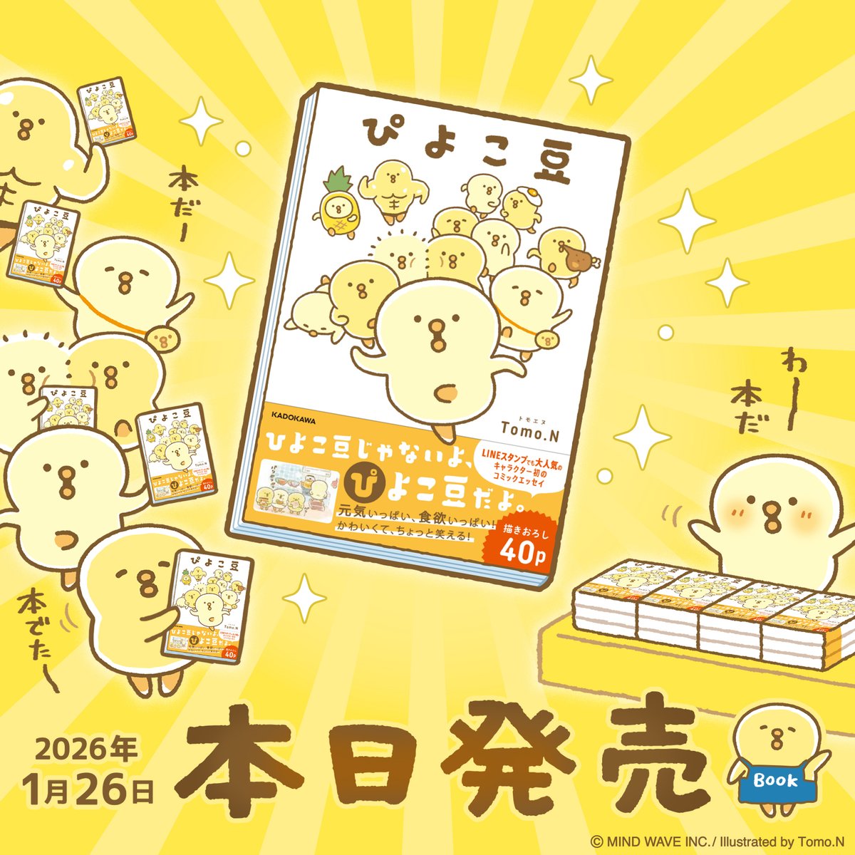 Tomo.N🐥『ぴよこ豆』書籍発売中 (@tomo_n_mw) / Posts / X