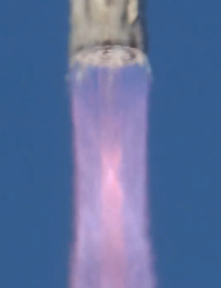 Georgina tweet media