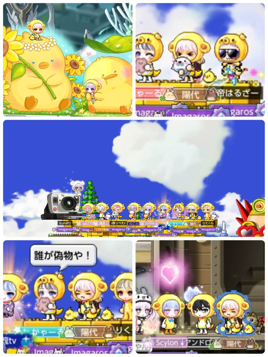 陽代@メイプルM tweet media