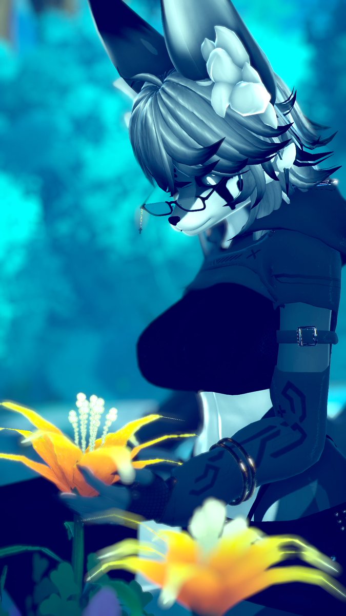 FluffyMimicTBR tweet media