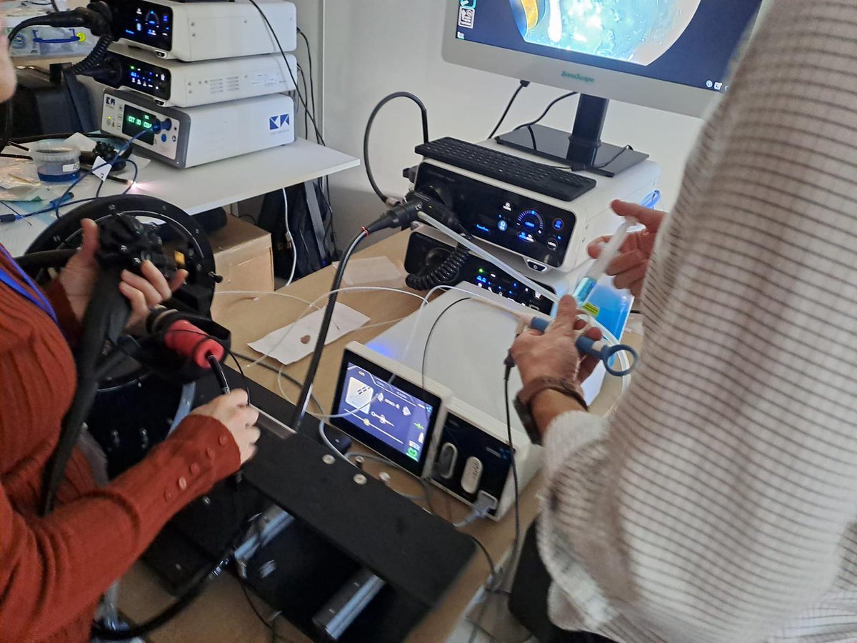 ST Endoscopia tweet media