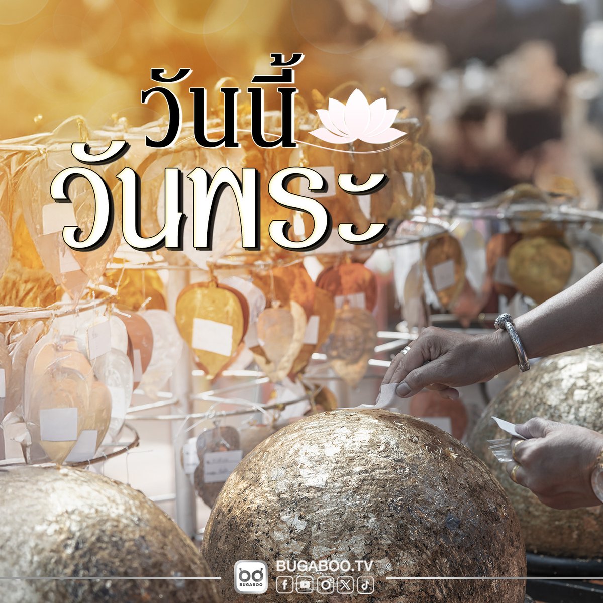 Bugabootv's tweet image. วันนี้ #วันพระ 🙏
.
#BUGABOOTV
#ดูทีวีกด35 #สดออนไลน์BUGABOOTV