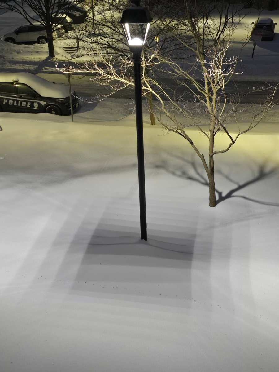 sciencegirl's tweet image. This shadow on the fresh snow from an LED street lamp