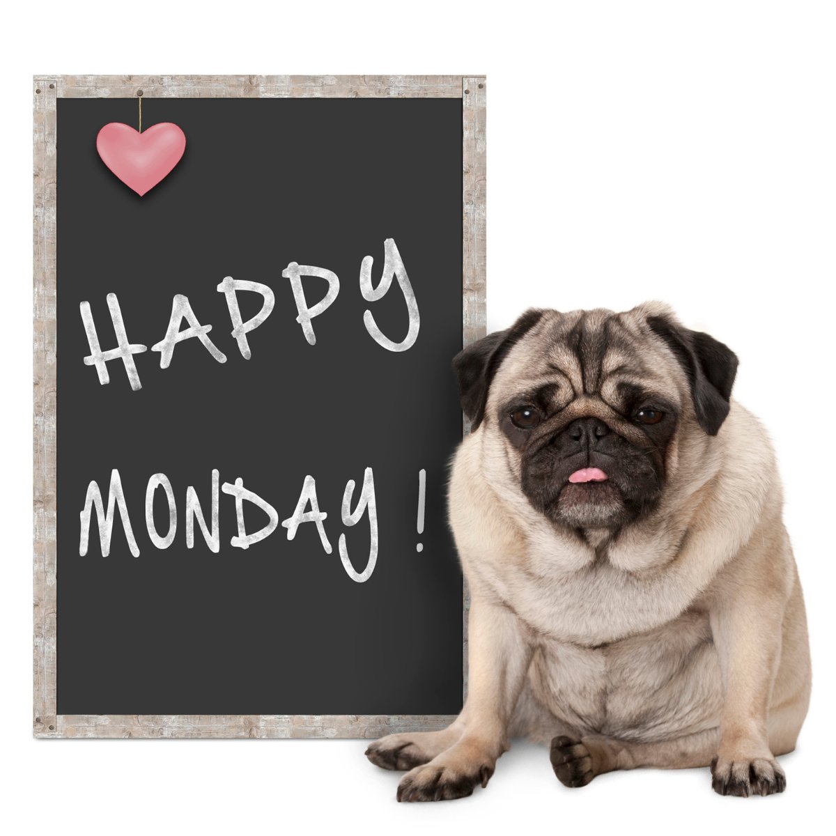 More Crypto Online (@Morecryptoonl) on X