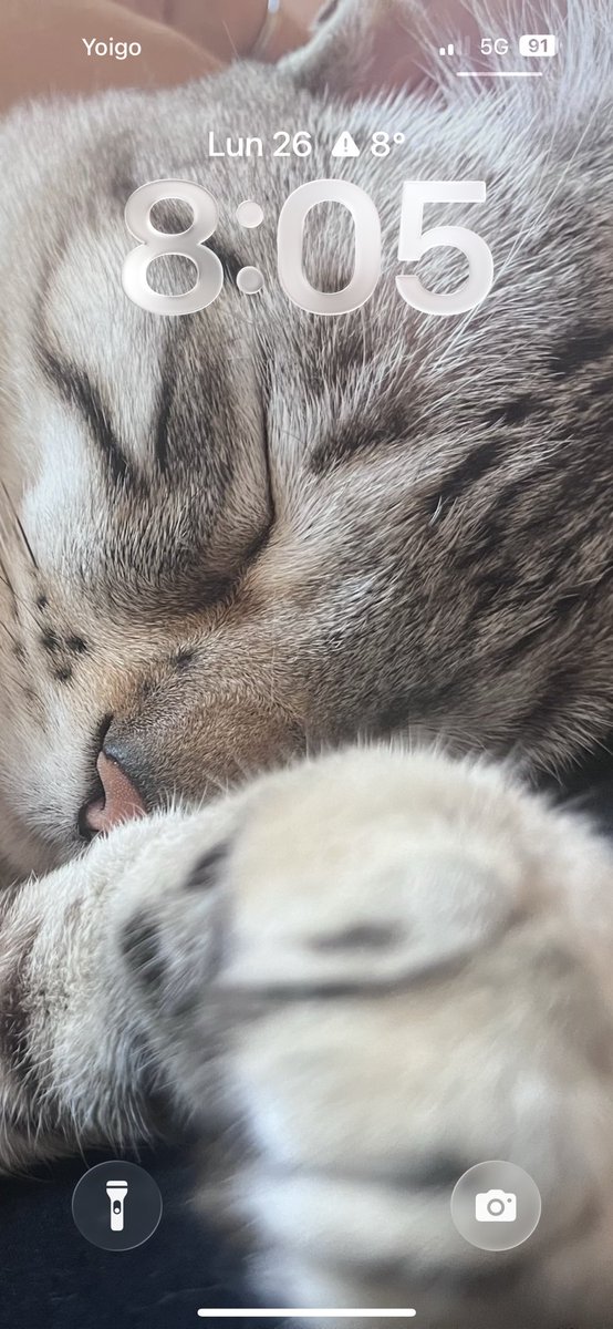 𝔸𝕝𝕓𝕒’𝕣𝕚𝕔𝕠𝕢𝕦𝕖__🦋• tweet media