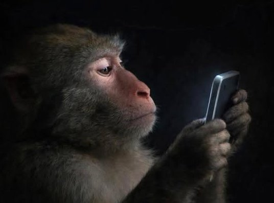 El fiscal del pueblo viendo como el único like a sus muladas viene de su cuenta anónima