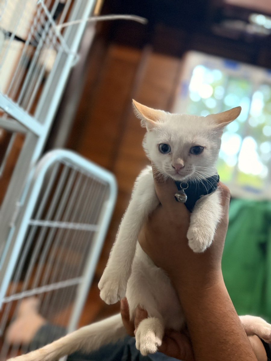 แงวเร้ก✨ tweet media