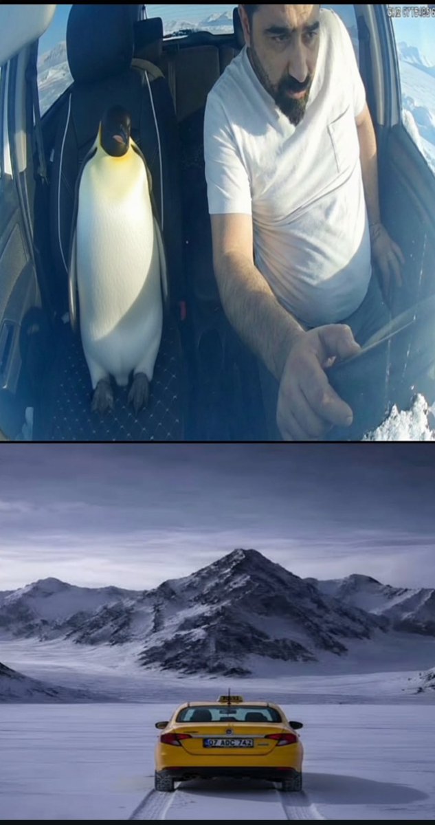 saçmasapan.mp4 (@sacmasapanmp4) on Twitter photo 