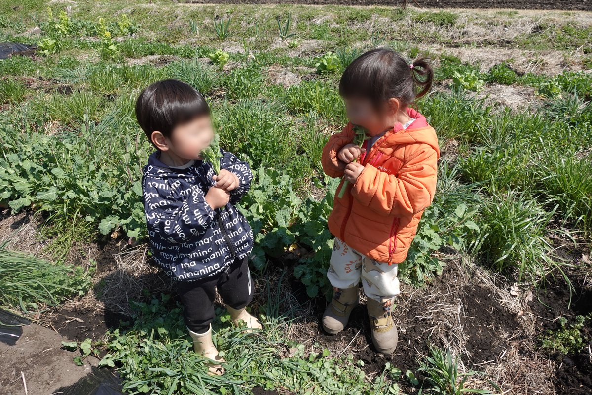 きびと月の畑 tweet media