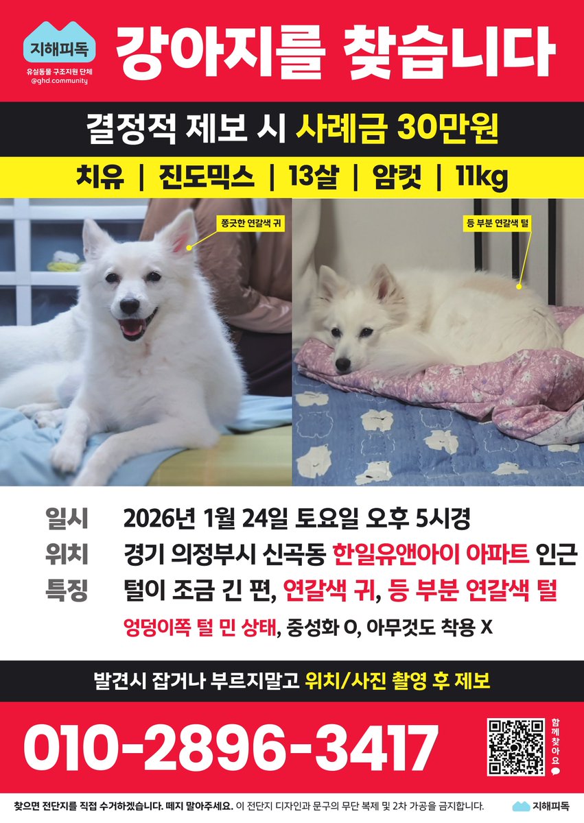 Gomgyul's tweet image. 루비 찾았습니다🥹 치유만 남았어요ㅠㅠ 루비가 구조 됐던 장소는 신곡대우아파트 인근이며 현재 루비만 발견 되었습니다! 새로 온 제보에 의하면 실종 됐던 날에 유앤아이 방면 언덕에서 두마리가 같이 다니고 있었다고 해요. 구조 됐을땐 루비만 있었다하여 근처에서 털 긴 아이 보시면 연락주세요🙇‍♀️