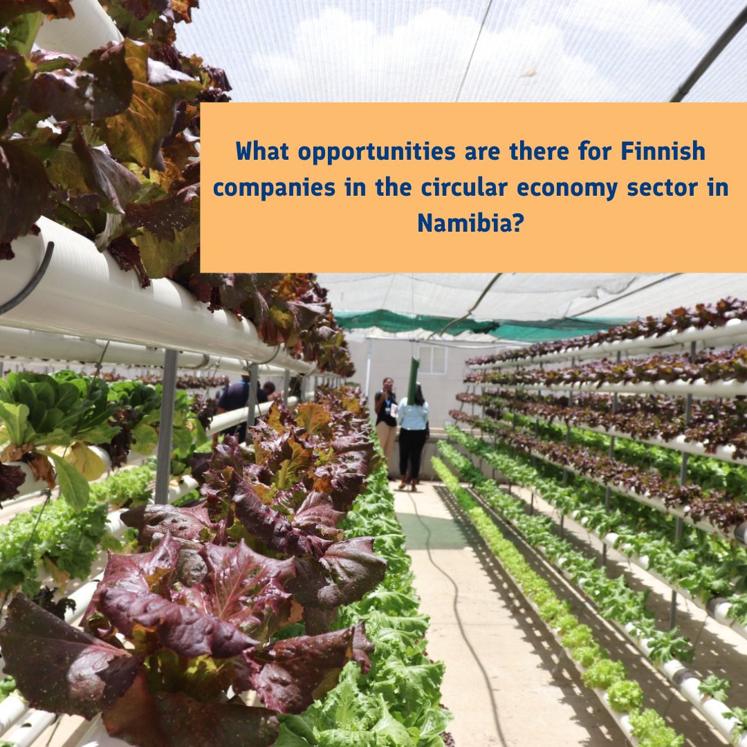 Finland in Namibia tweet media