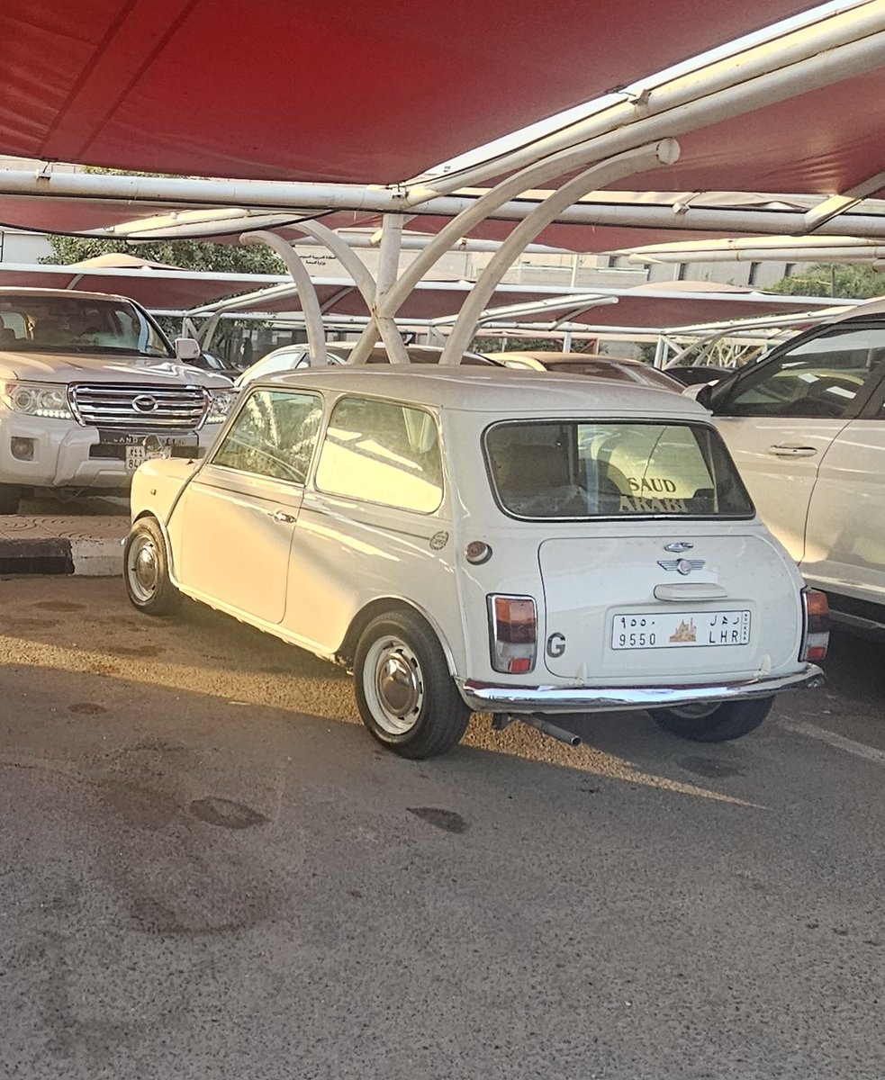 احد معه نفس هذه للبيع??