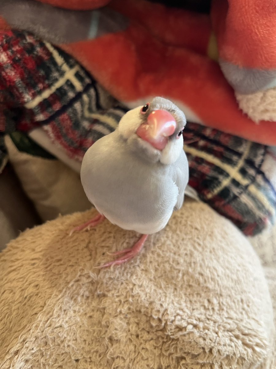 かわよ♡♡

🐦 ほえ？