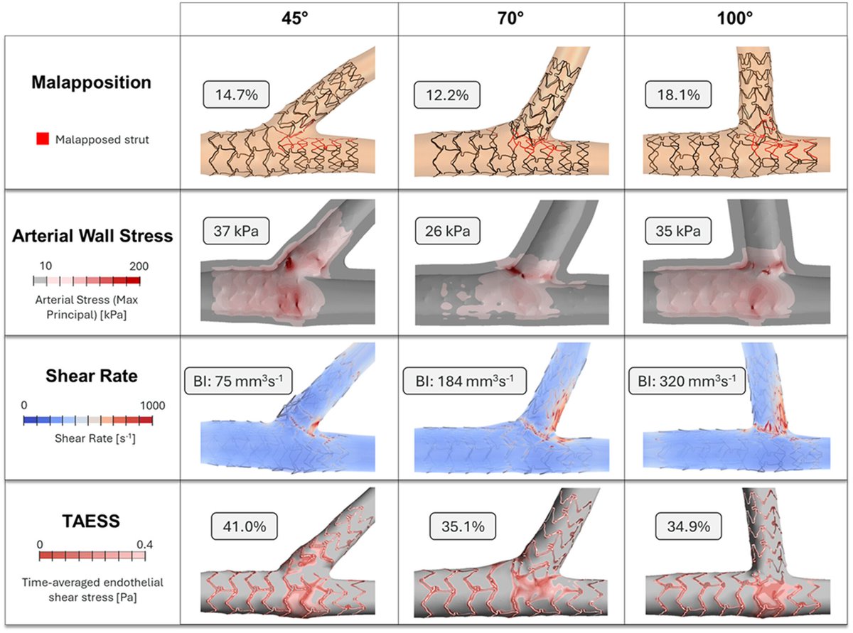 Giuseppe Biondi-Zoccai tweet media