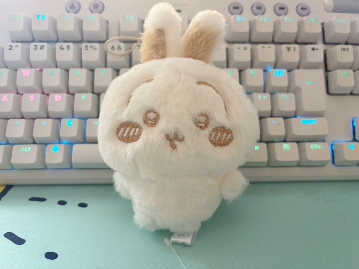 こってりさば (@mofumofunuko15) / Posts / X