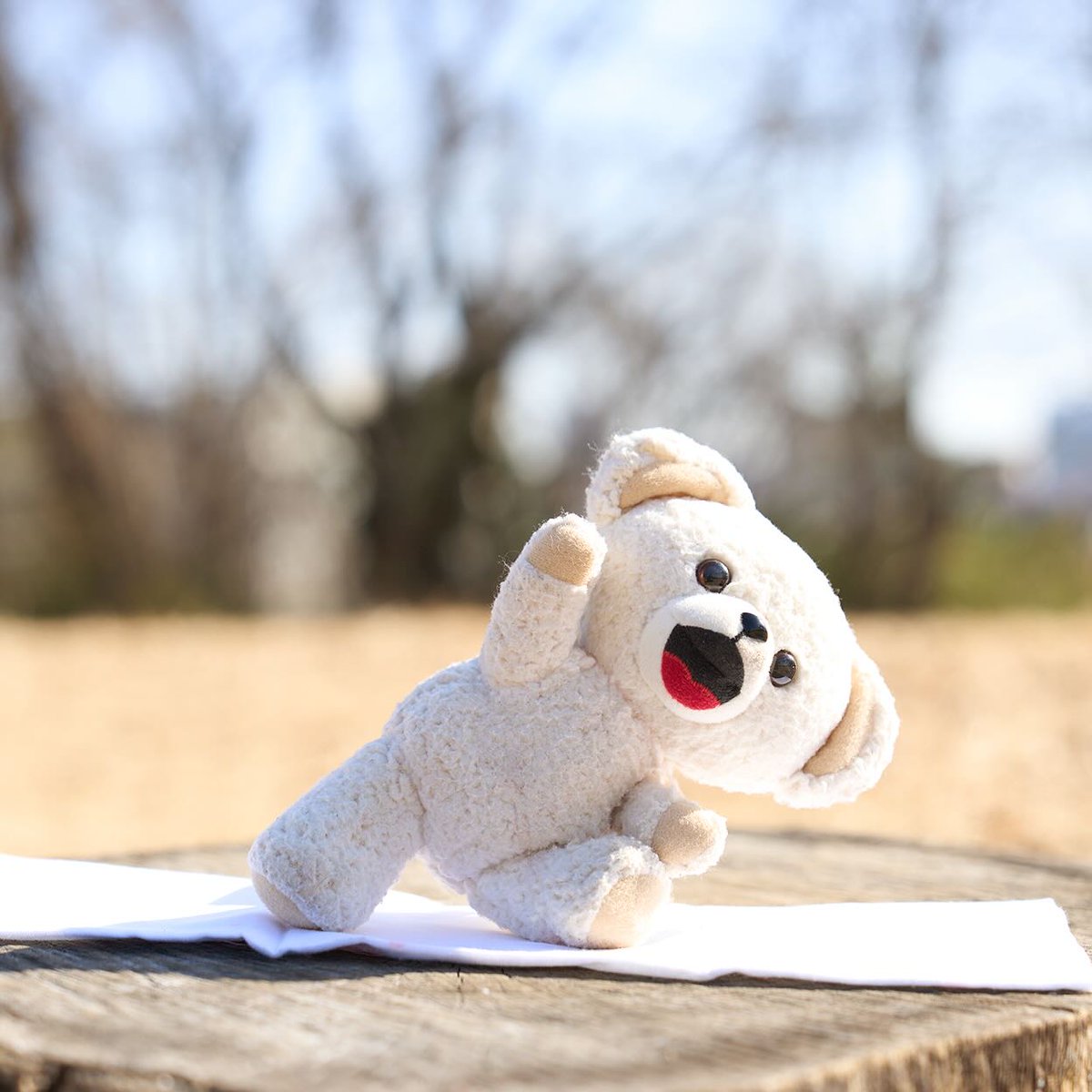 NSファーファ・ジャパン【公式】 (@nsfafajapan) / Posts / X