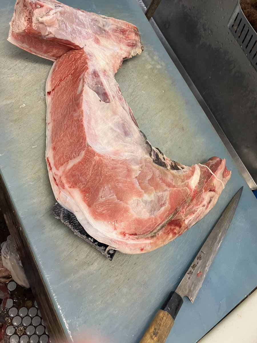 yasenaikamo777's tweet image. はーい♫津軽海峡冬景色　本マグロ祭り開催中ですよー！
赤身　中トロ　大トロ　希少部位を格安にて販売してます！

明日はマグロ丼もやってますよ！