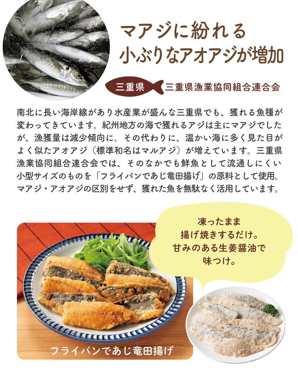 seikatsu_club's tweet photo. 【サステイナブルな未来を一緒に考える】
日本の海のいまを知って 多様な魚をおいしく食べよう

海に囲まれた日本で、魚は食卓に欠かせない食材。日本近海で水揚げされる魚の種類や漁獲量は、気候危機などの影響によって著しく変化しています。
そこで、各地の提携生産者は変わりゆく海の状況に対応し、今まで注目されていなかった魚も活用して消費材をつくっています。
漁業に携わる生産者の取組みを知って、さまざまな魚をおいしく食べませんか？

▼記事全文はこちらから
https://t.co/Z5mvmVpZLP

#魚 #漁業 #魚のおかず #さば #アジ #カタクチイワシ #煮魚 #アジフライ #竜田揚げ #煮干し #いりこ #気候危機 #持続可能な漁業 #サステイナブルな未来を一緒に考えるページ #生活クラブ #SDGs #サステイナブル #生活クラブのある豊かなくらし #生活クラブ生協 #生活クラブの消費材 #宅配生協 #安心安全