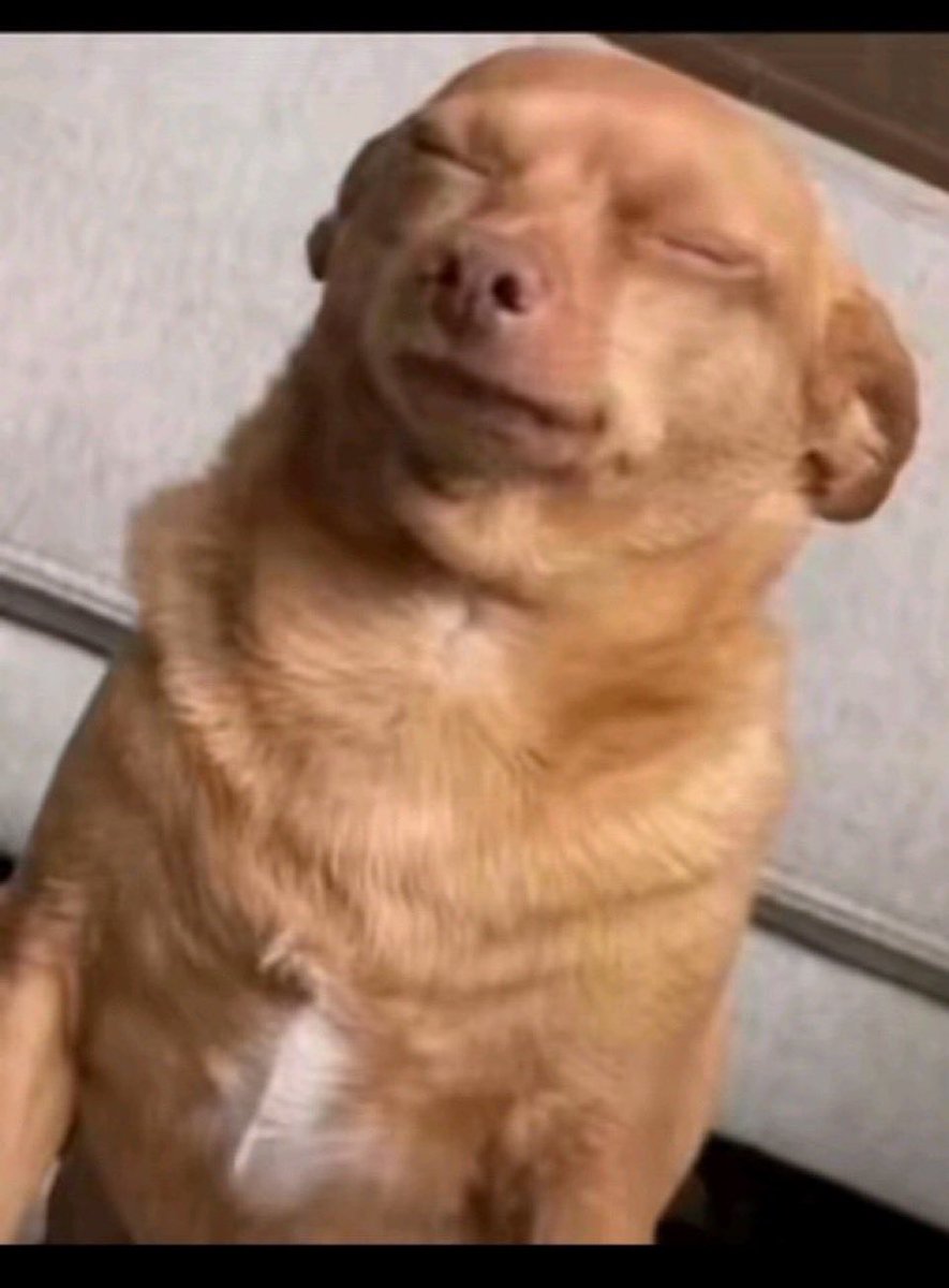 Started the week with SL, quite funny 😅