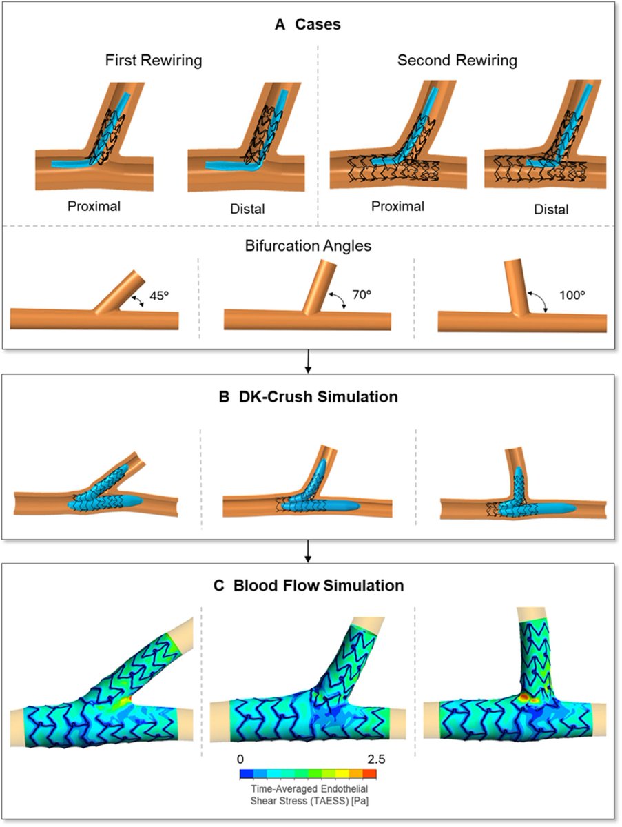 Giuseppe Biondi-Zoccai tweet media