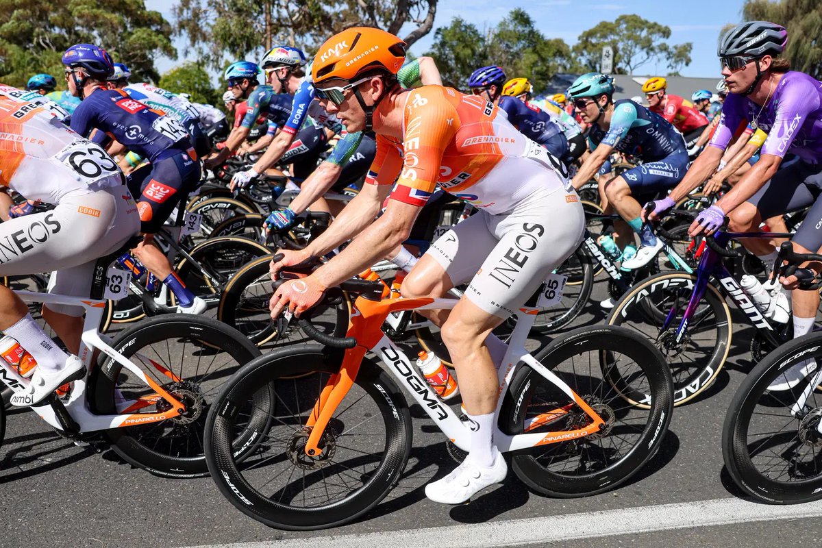 Domestique tweet media