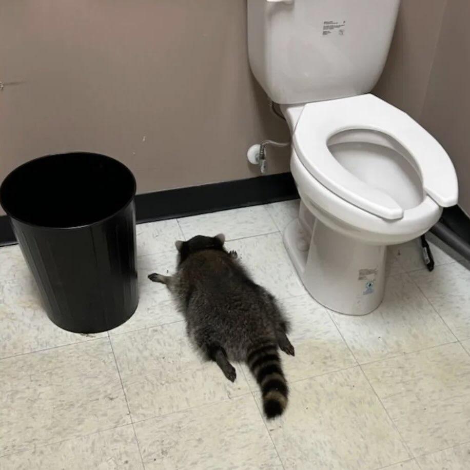 justayellowbug's tweet photo. my medication has stopped working https://t.co/pvTJVMIJtd