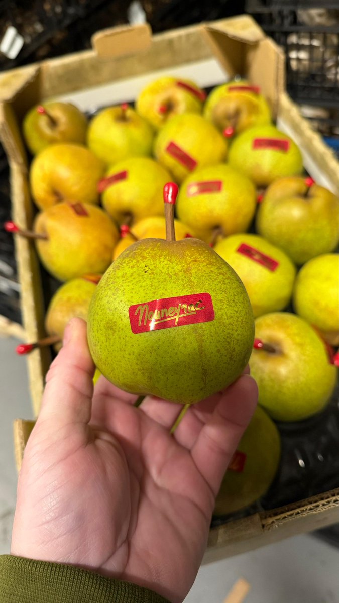 First Choice Produce tweet media