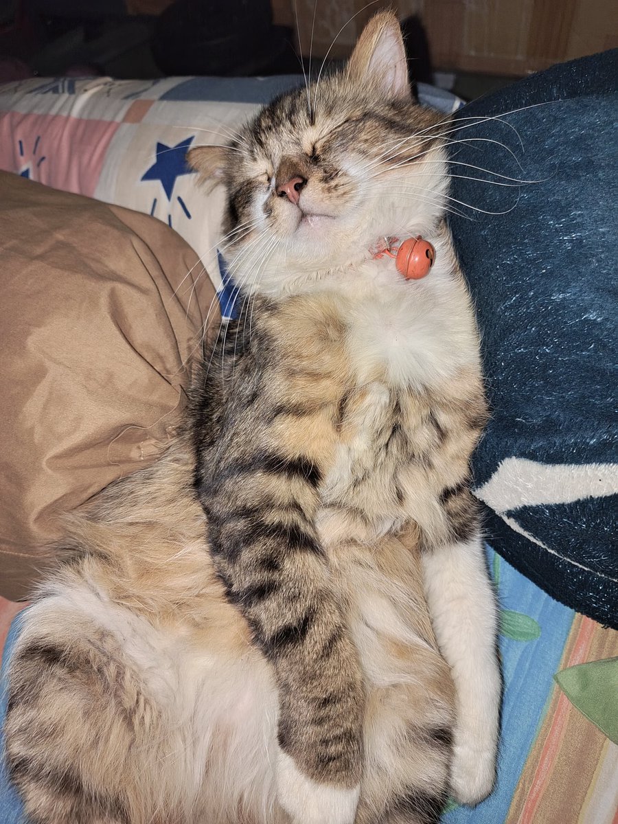 MainaEru's tweet image. Senin