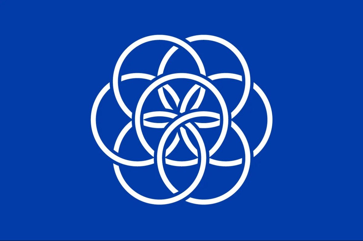 耄 tweet media