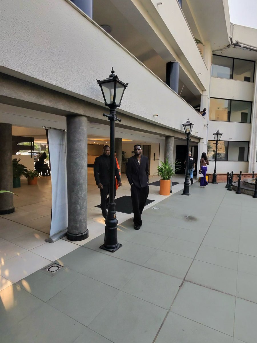 May D 🦁 tweet media