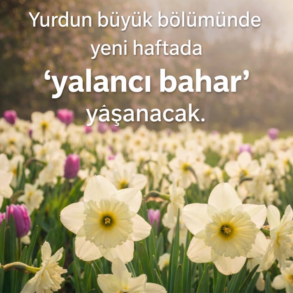 Çoğumuzun ömrü öyle geçmiyor mu zaten ?