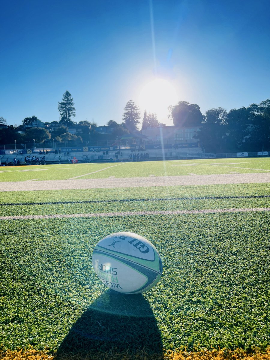 Peyton Thomas tweet media