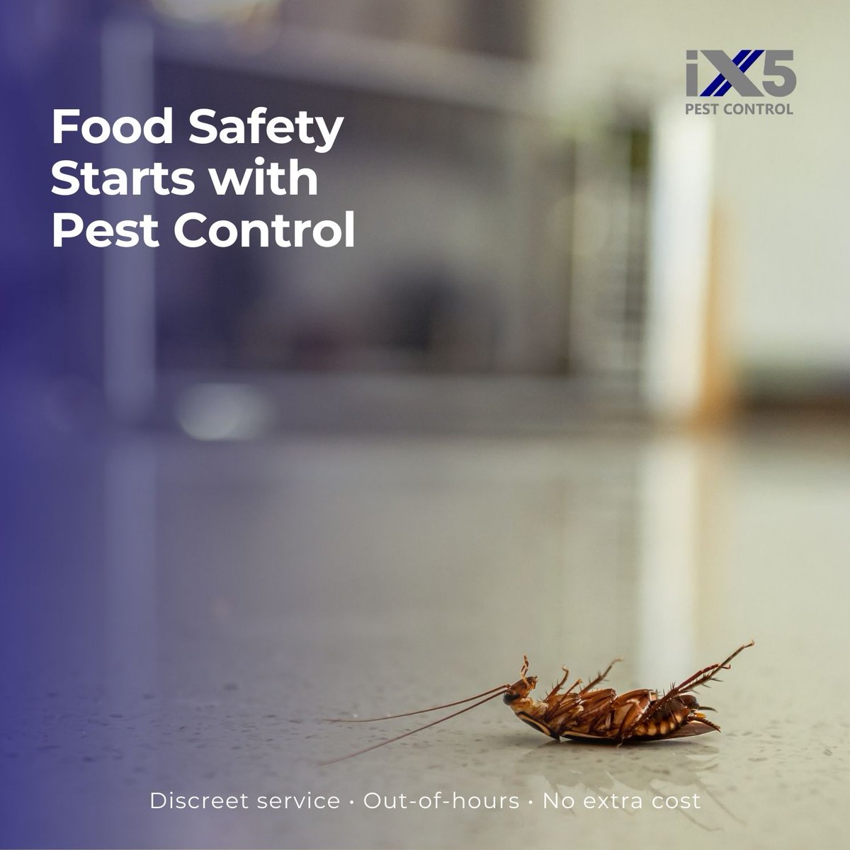 iX5uk's tweet photo. Cockroaches in commercial kitchens = reputational damage & health risks 🚫🍽️.
At iX5 Pest Control we deliver discreet treatments to protect your business, staff and customers. https://t.co/y26X6cWH6p
#CommercialPestControl #CockroachFree #FoodSafety https://t.co/pQiIJjEf9M