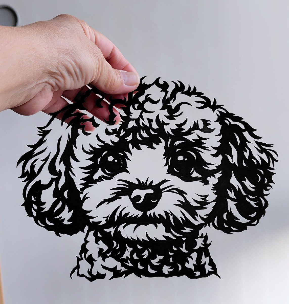 🌈milty🐶＆luke🐶 tweet media