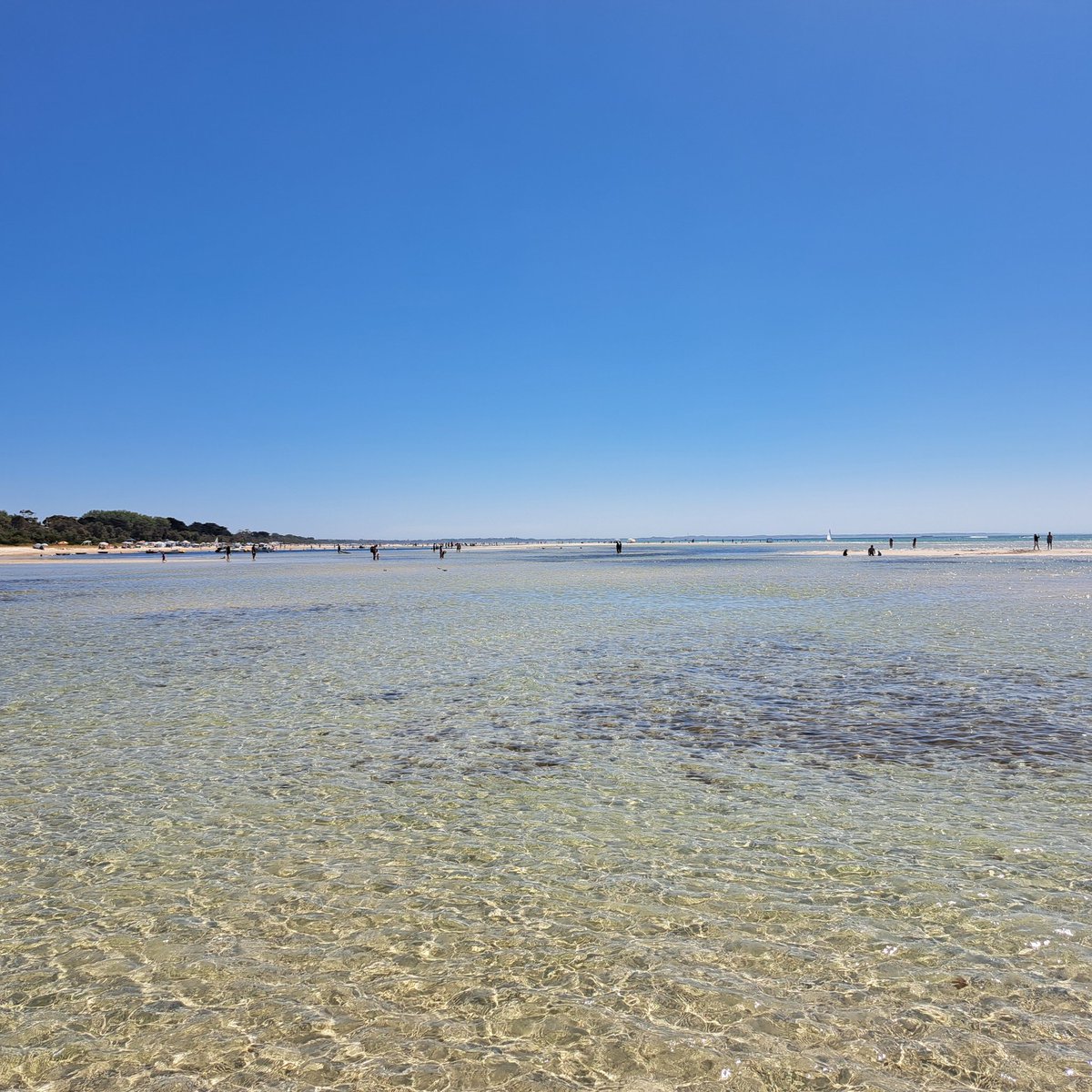 Perfect Australia Day