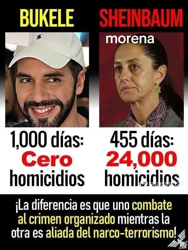 <a href="/AlertaNews24/">Alerta News 24</a>