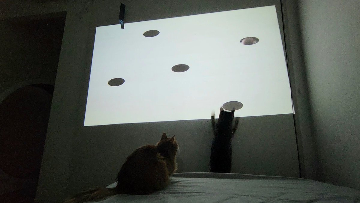 しぴこめᓚᘏᗢ (@chipie0826) / Posts / X