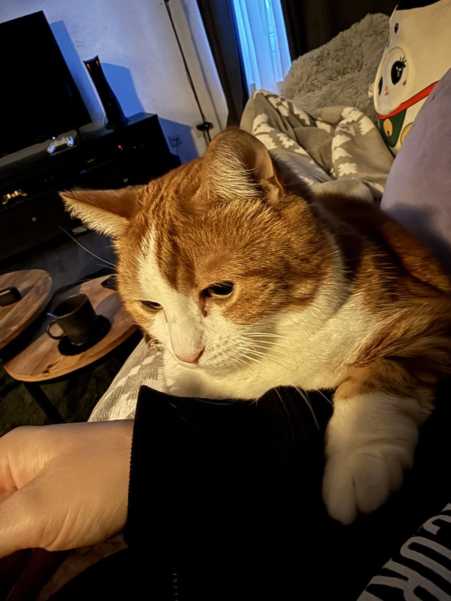 ⭐「エス」 tweet media