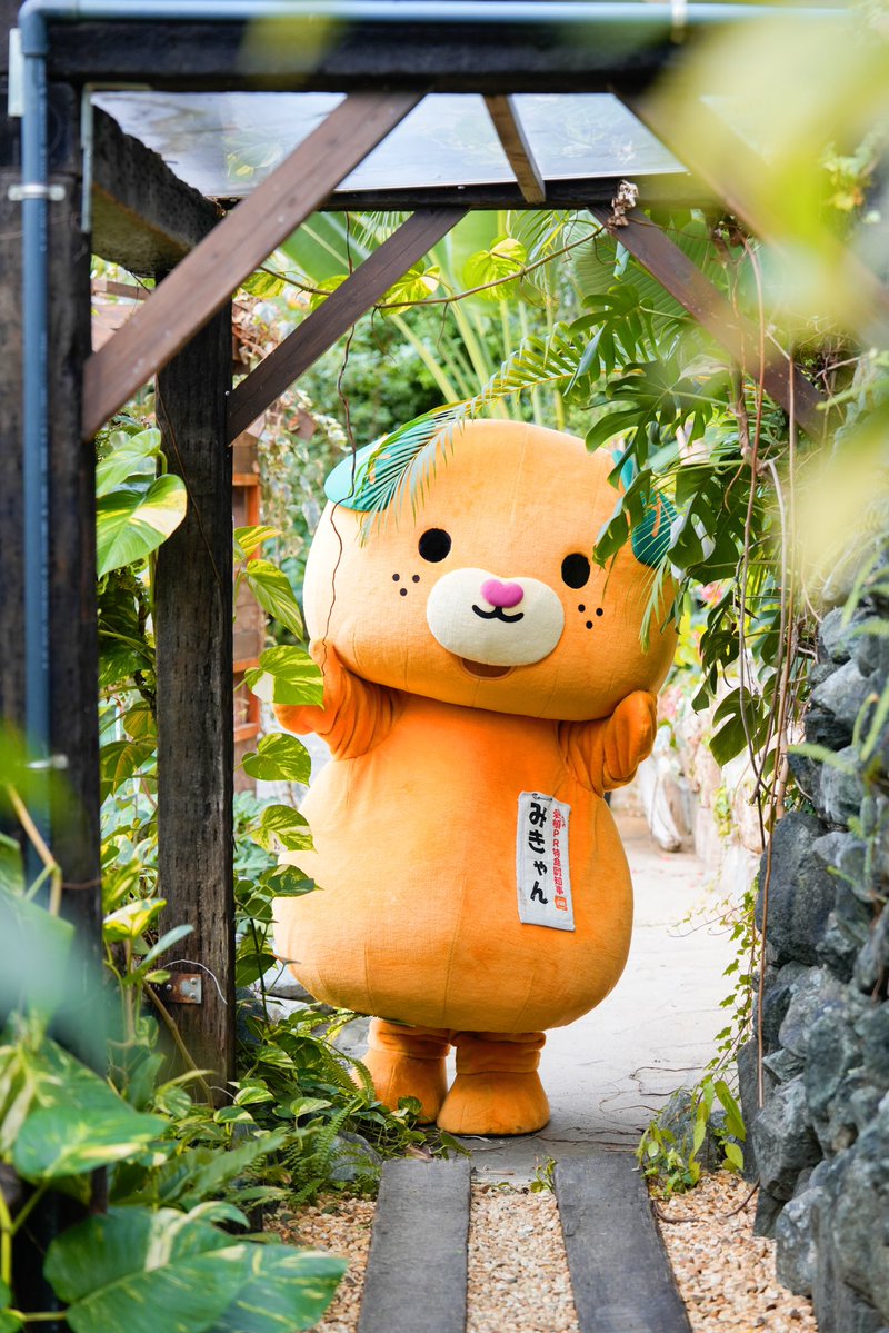 みきゃん【公式】《愛媛県イメージアップキャラクター》 (@micanehime