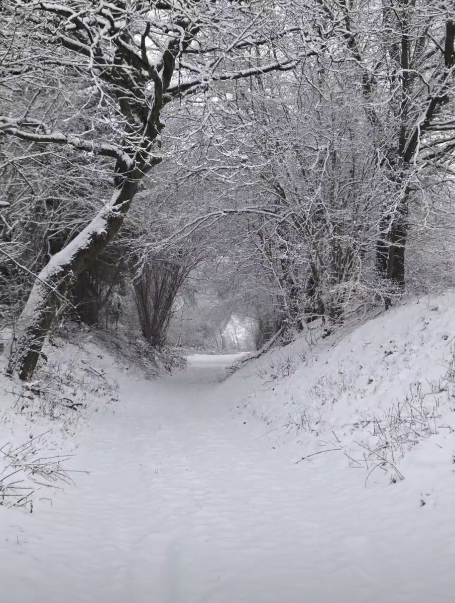 Matthias_C 📯 tweet media